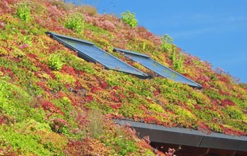 Stackyard Green living roof systems