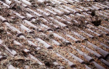 Stackyard Green roof cleaning companies