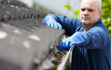 cleaning and inspecting Stackyard Green roofs