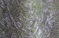 Stackyard Green fibreglass roof work