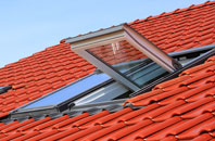 Stackyard Green roof window